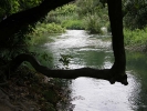 Хорватия. Национальный парк Крка. Речки и ручьи