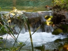 Хорватия. Национальный парк Крка. Речки и ручьи