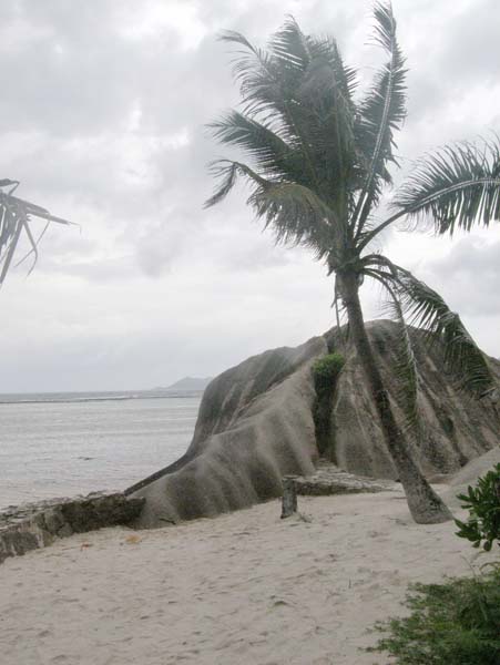 Остров Ла Диг. Сейшелы