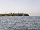 Мангровые острова. Куба